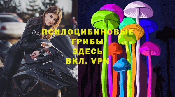 дурь Липки